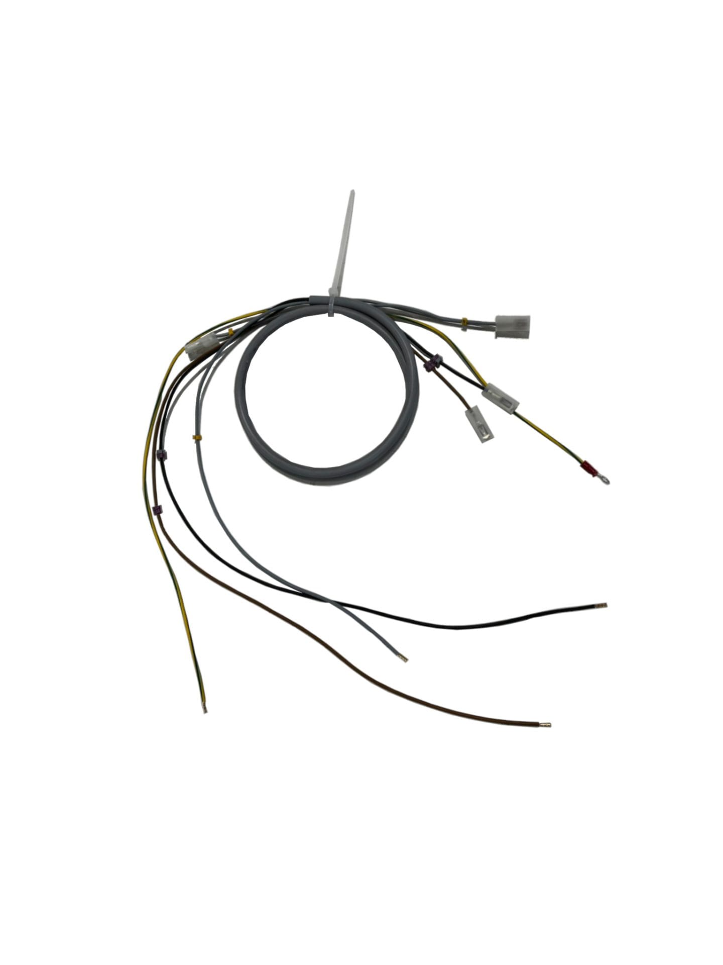 Electrical harnesses for food processing equipment